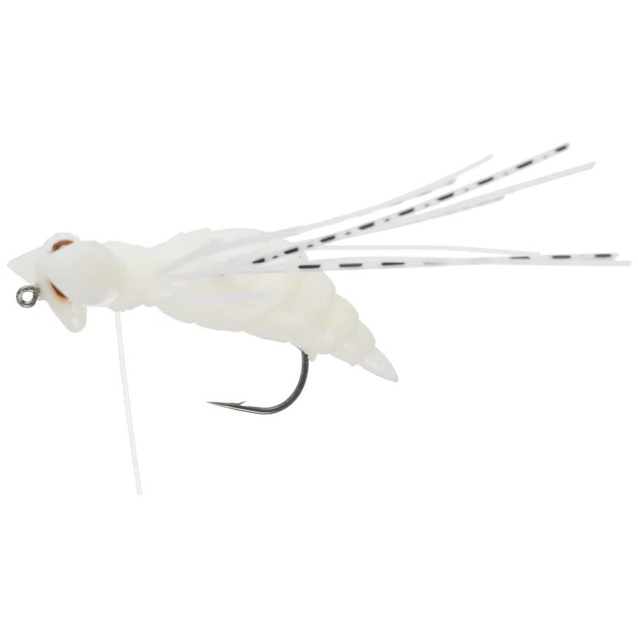 View of Topwater Evergreen Gizmo Topwater Bone available at EZOKO Fishing