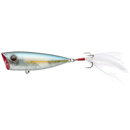 Blue Back Herring