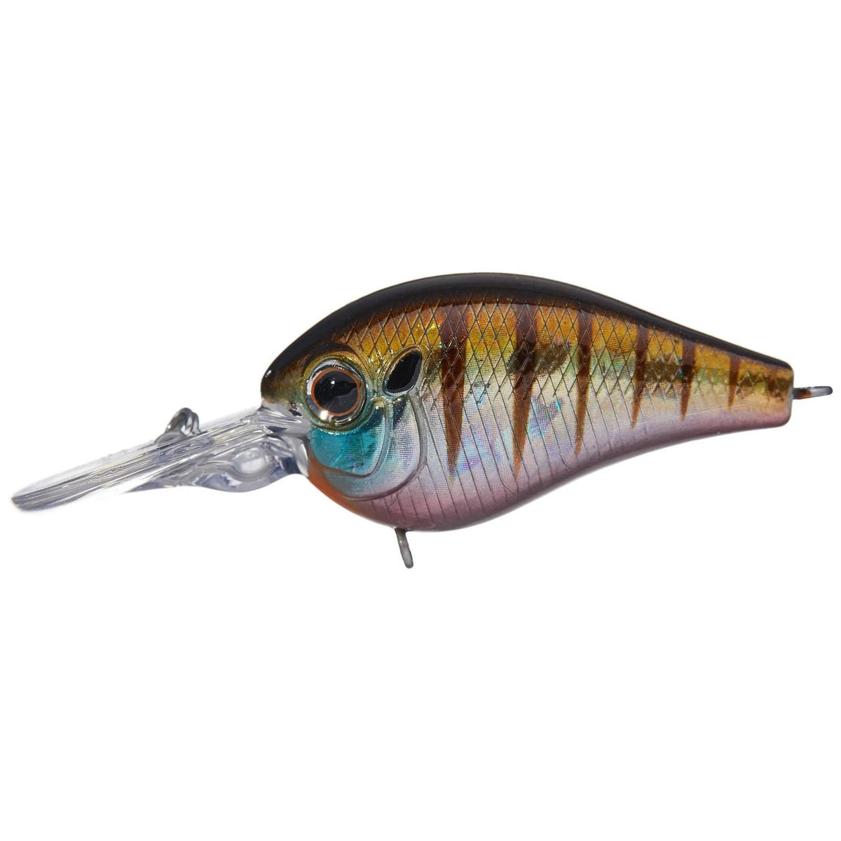 View of Crankbait Evergreen Picolo Crankbait Baby Gill available at EZOKO Fishing