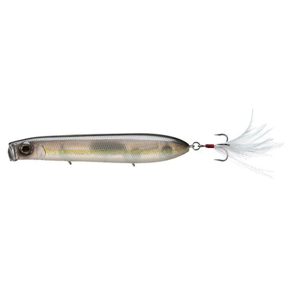 American Shad