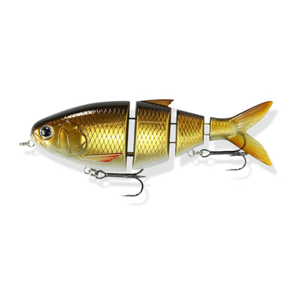 Gold Shiner