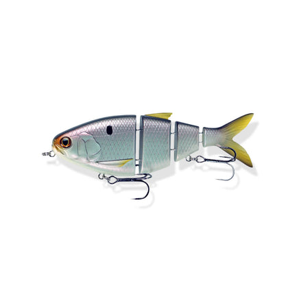Threadfin Shad