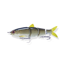 View of Hard Swimbaits FishLab BBZ Swimbait 4.5" Carp available at EZOKO Pike and Musky Shop