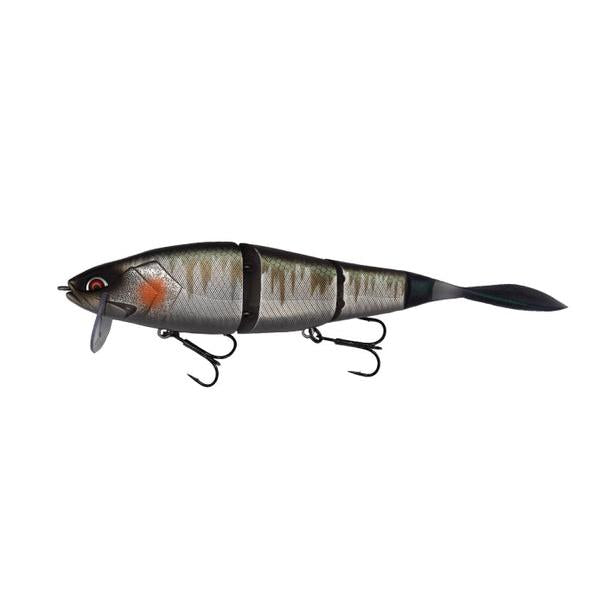 View of Galapagos Grace 210L Swimbait #22 Ibushi Hasu available at EZOKO Fishing