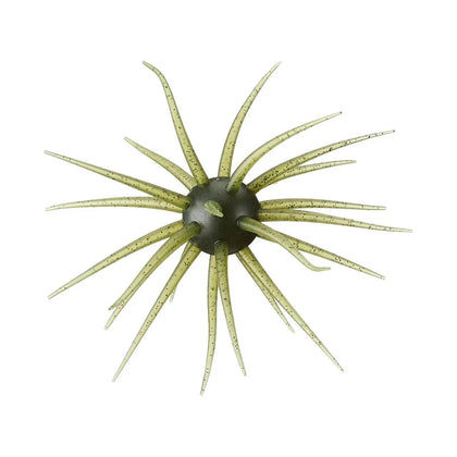 Watermelon Seed