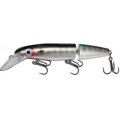 Shimmern' Shad