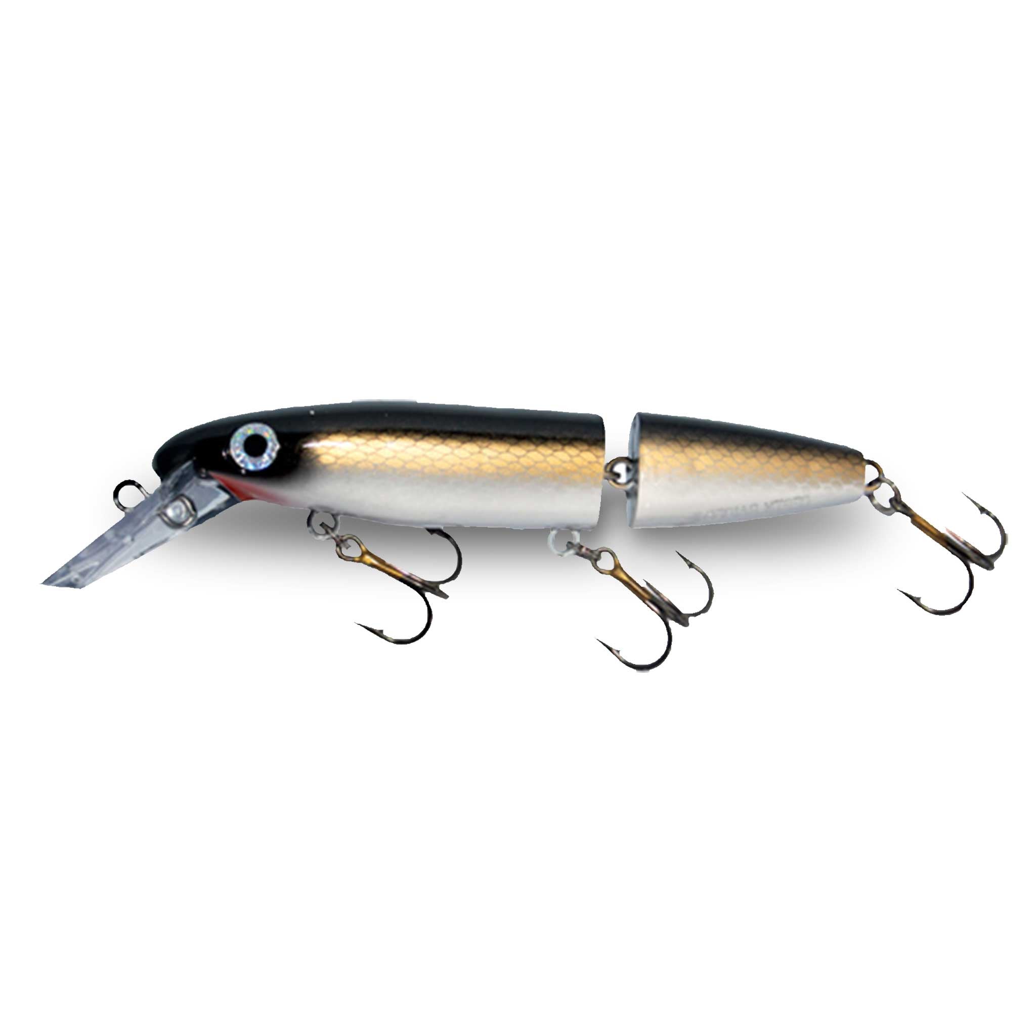 View of Crankbaits Joe Bucher Jointed Depth Raider Crankbait Sucker available at EZOKO Fishing
