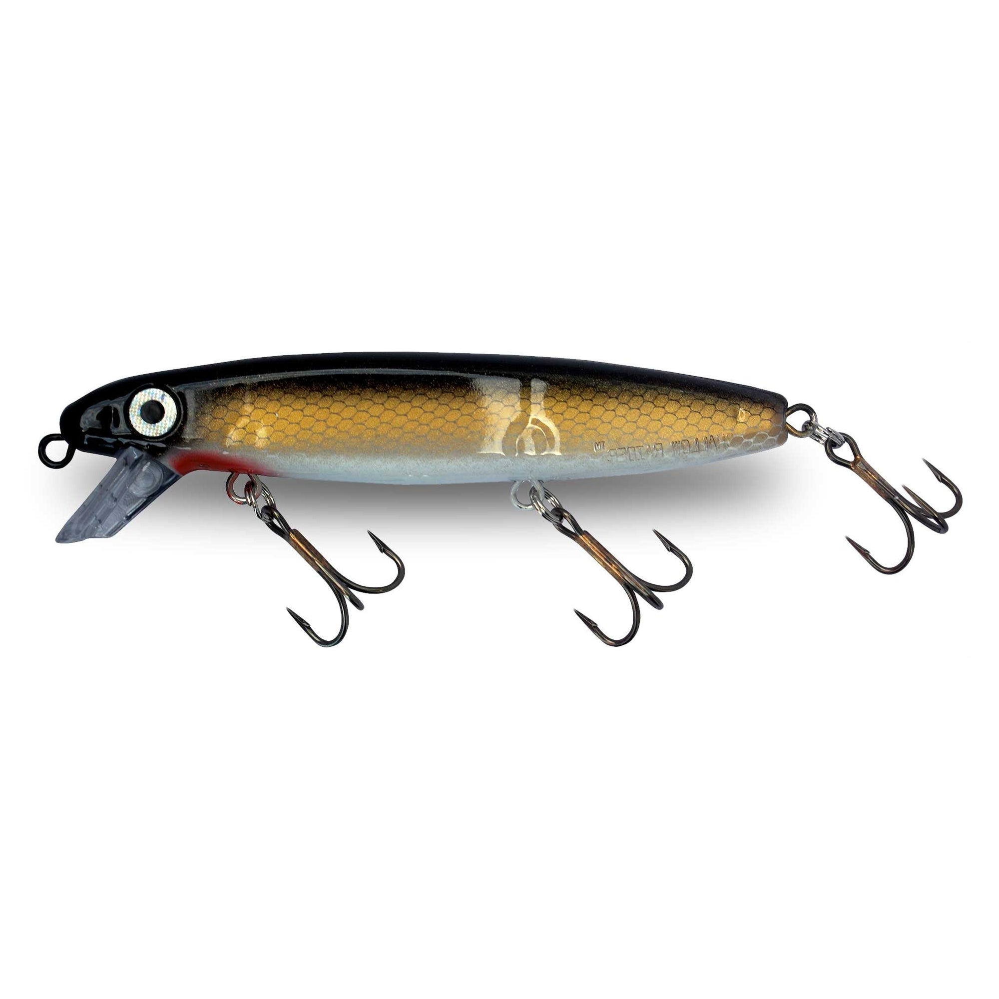 View of Crankbaits Joe Bucher Shallow Raider Crankbait Sucker available at EZOKO Fishing