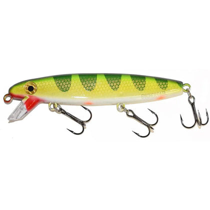White Belly Perch