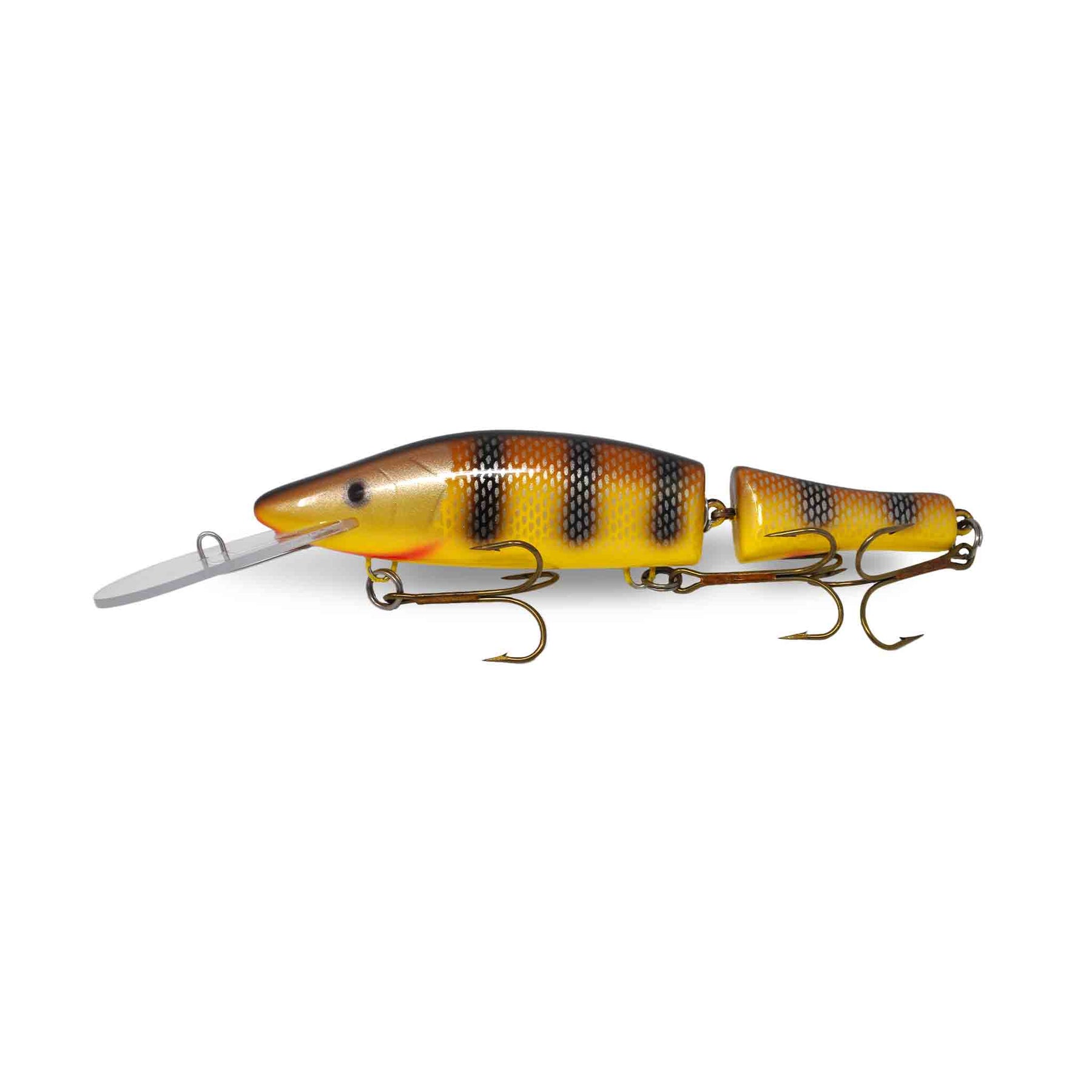 View of Crankbaits Legend lures Jointed Perch Bait Crankbait Walleye available at EZOKO Pike and Musky Shop