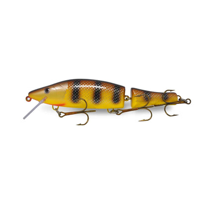 Walleye