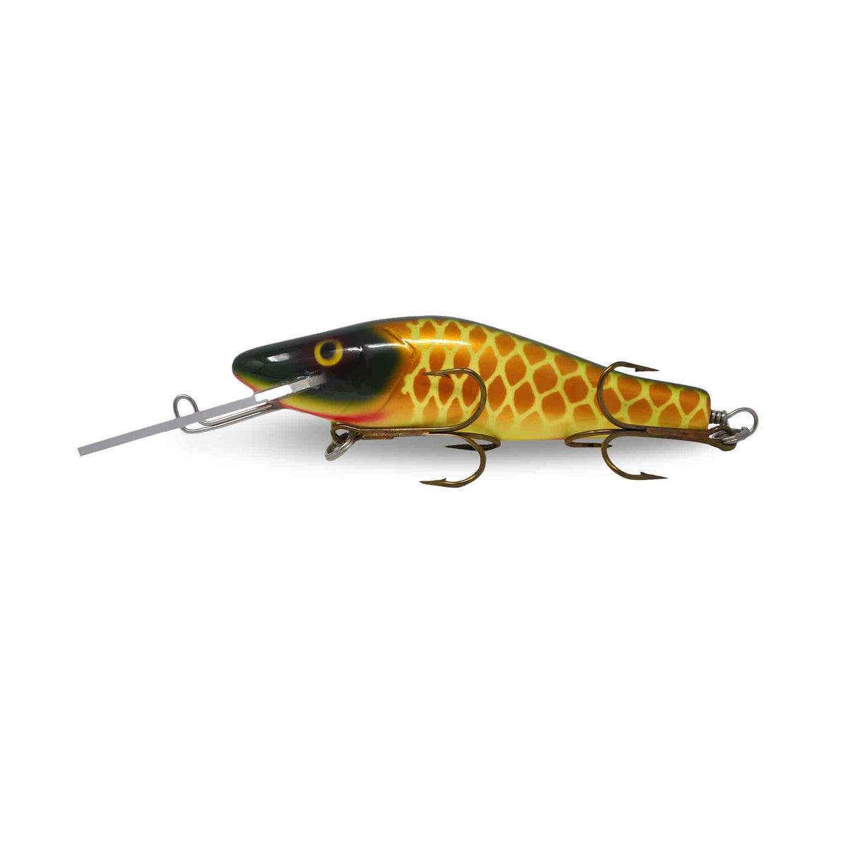 View of Crankbaits Legend lures Perch Bait Jr Crankbait St. Lawrence available at EZOKO Pike and Musky Shop