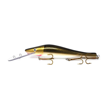 Golden Sucker