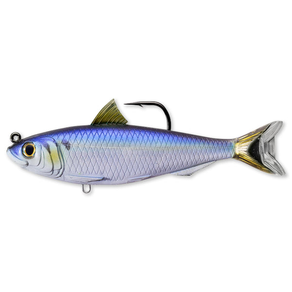 View of Swimbaits Live Target Blueback Herring 5 1/2" Swimbait Blue/Black available at EZOKO Fishing