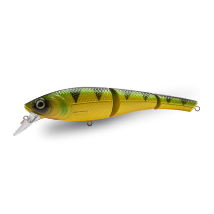Yellow Perch