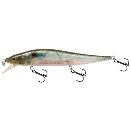 Ghost Gizzard Shad