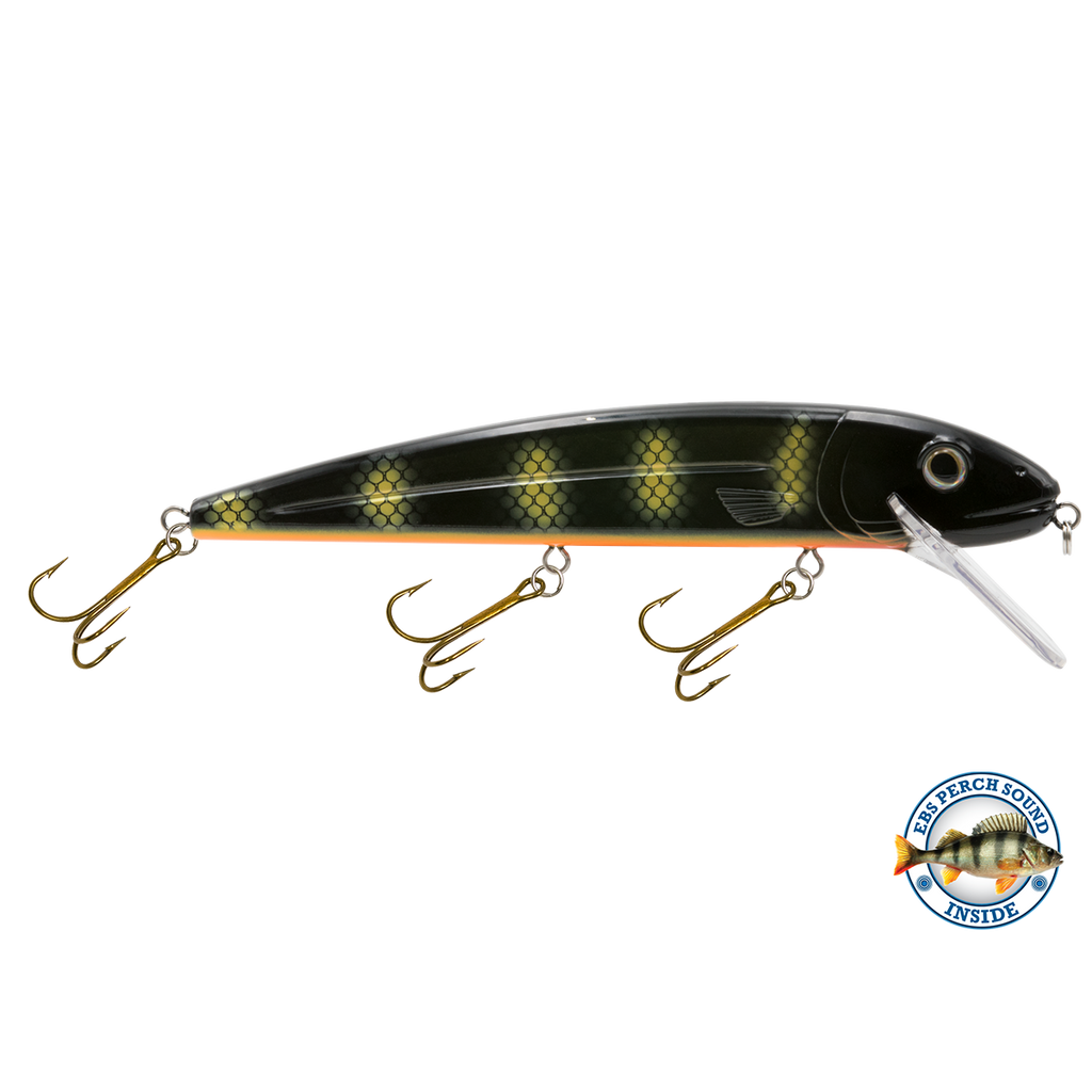 View of Crankbaits Livingston Squeaky Pete 233 Black Perch available at EZOKO Pike and Musky Shop