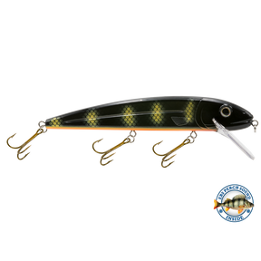 View of Crankbaits Livingston Squeaky Pete 233 Black Perch available at EZOKO Pike and Musky Shop