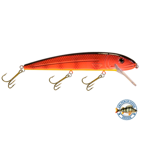 View of Crankbaits Livingston Squeaky Pete 233 Canadien Crush available at EZOKO Pike and Musky Shop