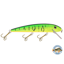 View of Crankbaits Livingston Squeaky Pete 233 Matte Tiger available at EZOKO Pike and Musky Shop