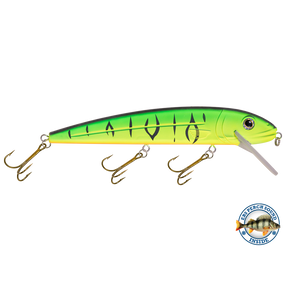 View of Crankbaits Livingston Squeaky Pete 233 Matte Tiger available at EZOKO Pike and Musky Shop