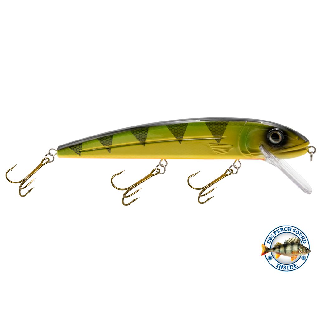 View of Crankbaits Livingston Squeaky Pete 233 Yellow Perch available at EZOKO Pike and Musky Shop