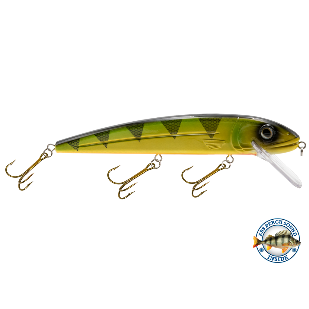 View of Crankbaits Livingston Squeaky Pete 233 Yellow Perch available at EZOKO Pike and Musky Shop