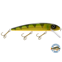 View of Crankbaits Livingston Squeaky Pete 233 Yellow Perch available at EZOKO Pike and Musky Shop