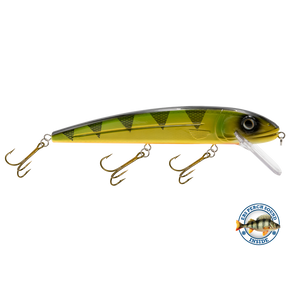 View of Crankbaits Livingston Squeaky Pete 233 Yellow Perch available at EZOKO Pike and Musky Shop