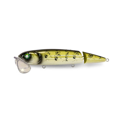 Walleye EBS PERCH