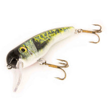 Llungen Lures .22 Short SS Real Image Crappie Crankbaits