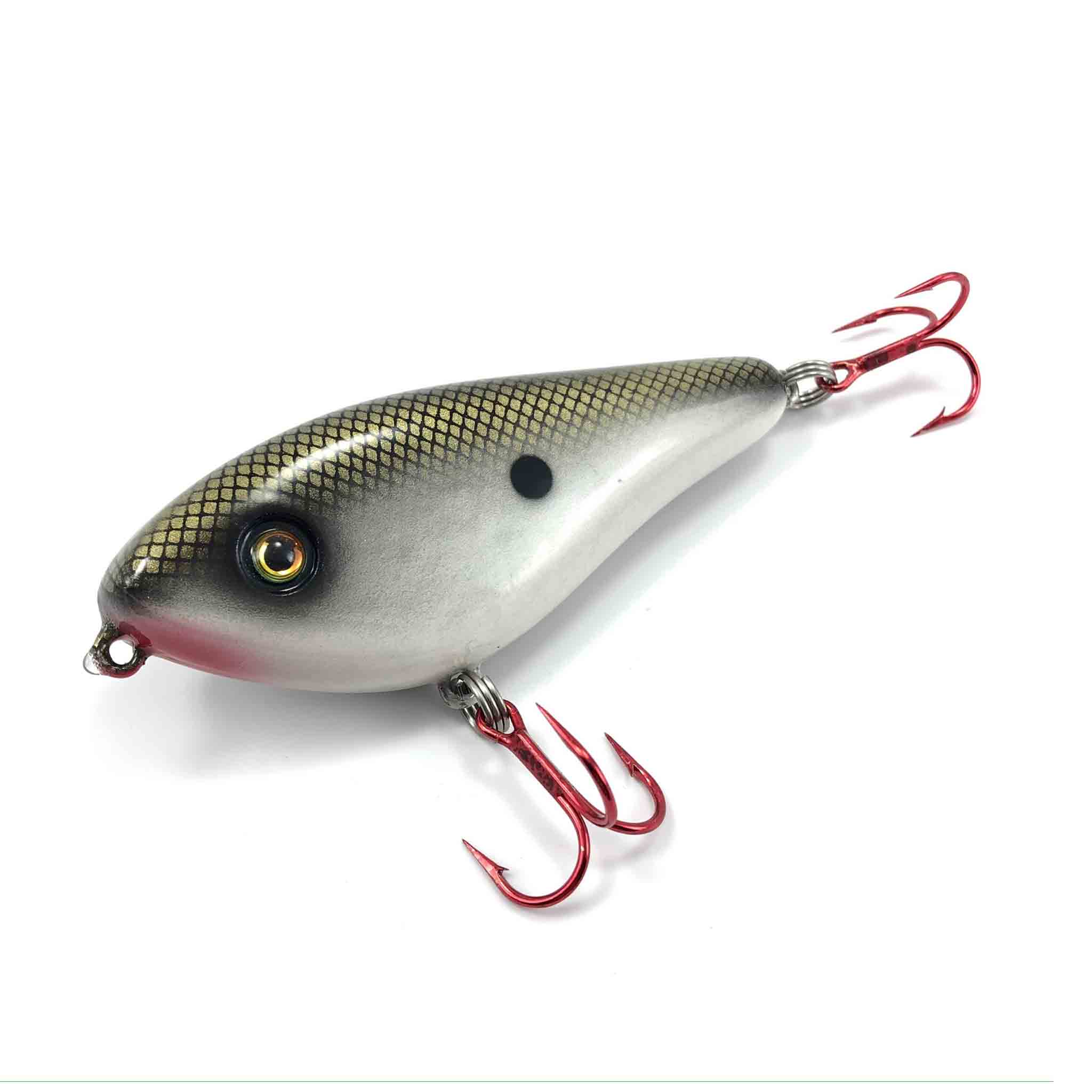 View of Lipless_Crankbaits Llungen Lures Tony Grant Fat Belly Rattler 4" Lipless Crankbait Tennesse Shad available at EZOKO Fishing