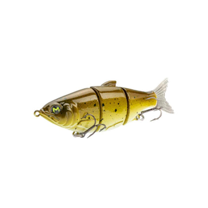 Golden Shad