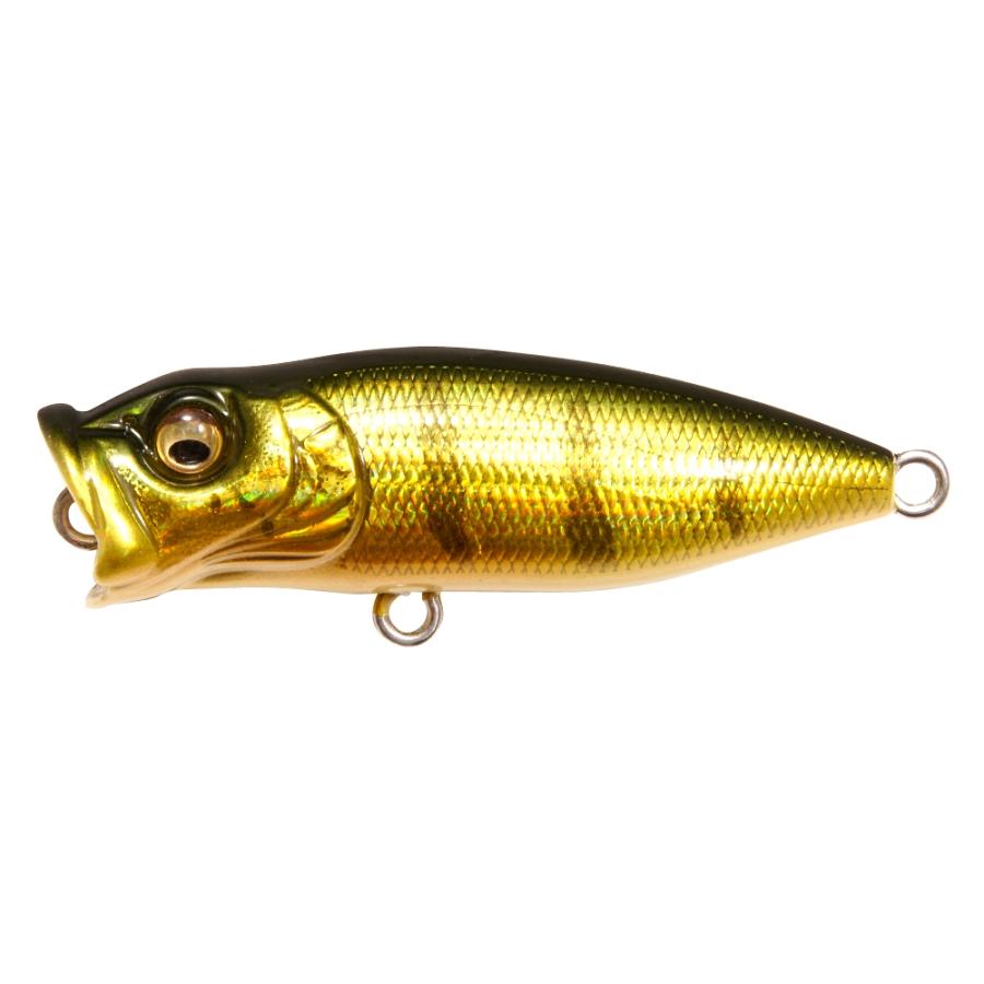 View of Topwater Megabass Baby Pop X BFS Popper Gg Perch available at EZOKO Fishing