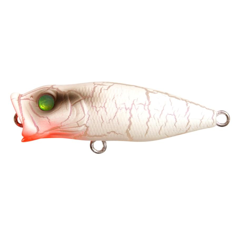 View of Topwater Megabass Baby Pop X BFS Popper White Butterfly available at EZOKO Fishing