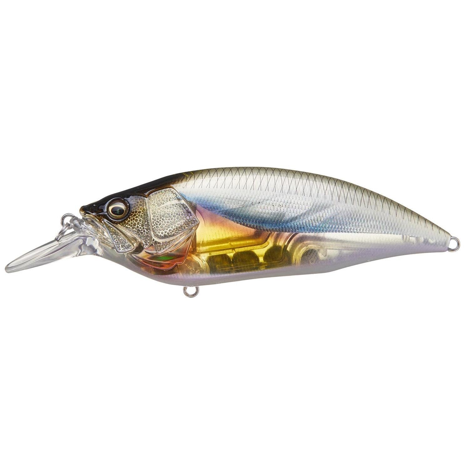 View of Megabass Big-M 4.0 Crankbait Kasumi ITO available at EZOKO Fishing