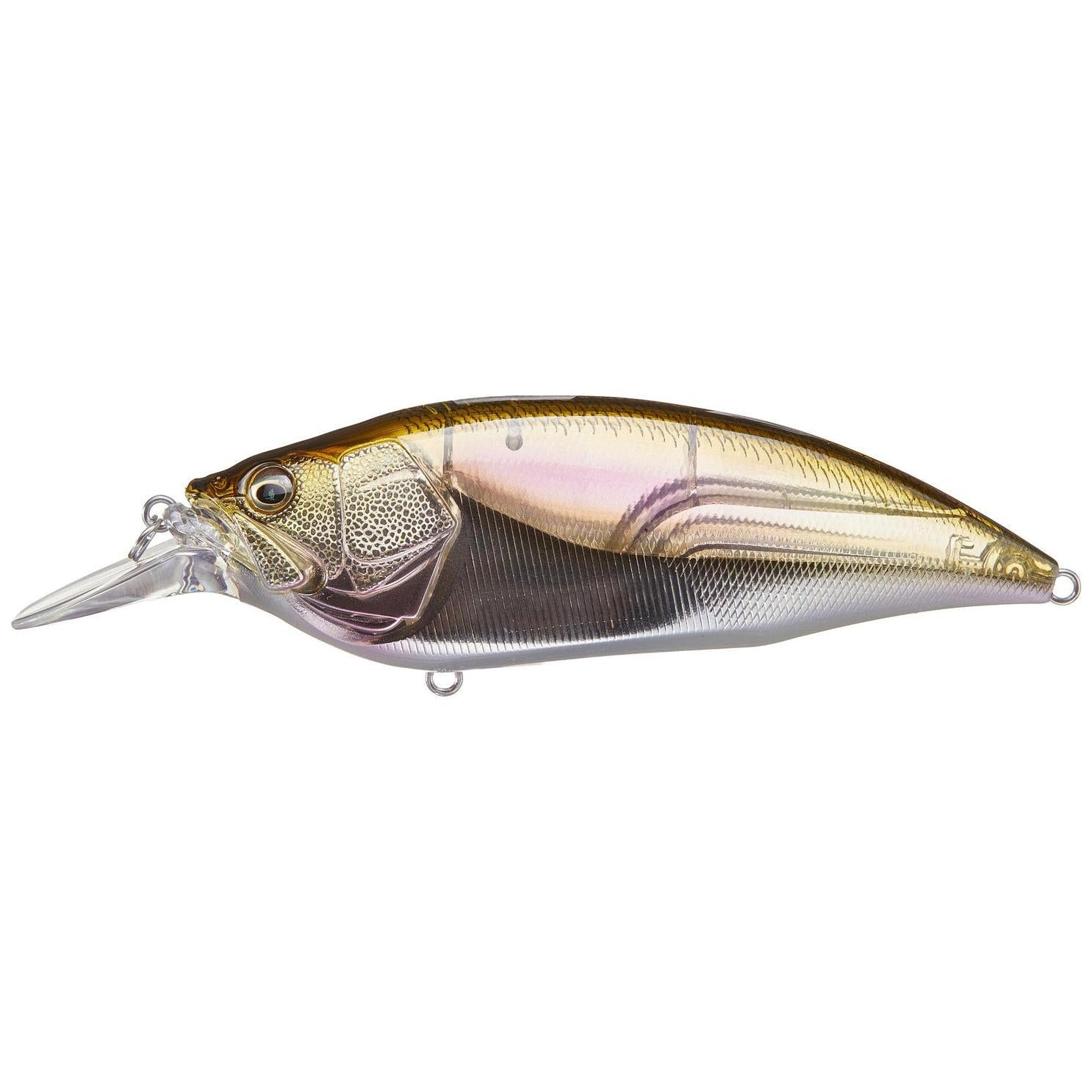 View of Megabass Big-M 4.0 Crankbait ITO Wakasagi available at EZOKO Fishing