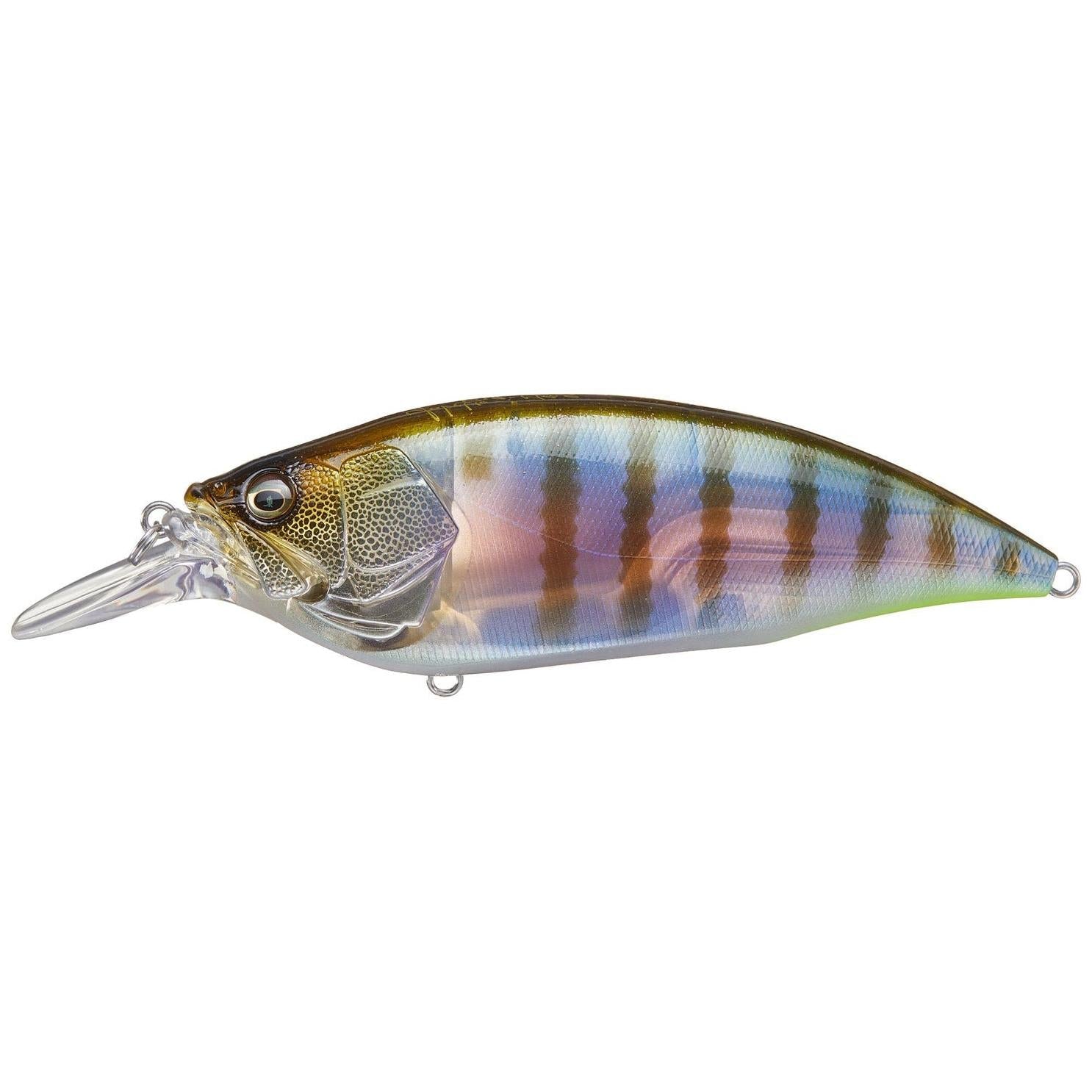 View of Megabass Big-M 4.0 Crankbait Gillkko available at EZOKO Fishing
