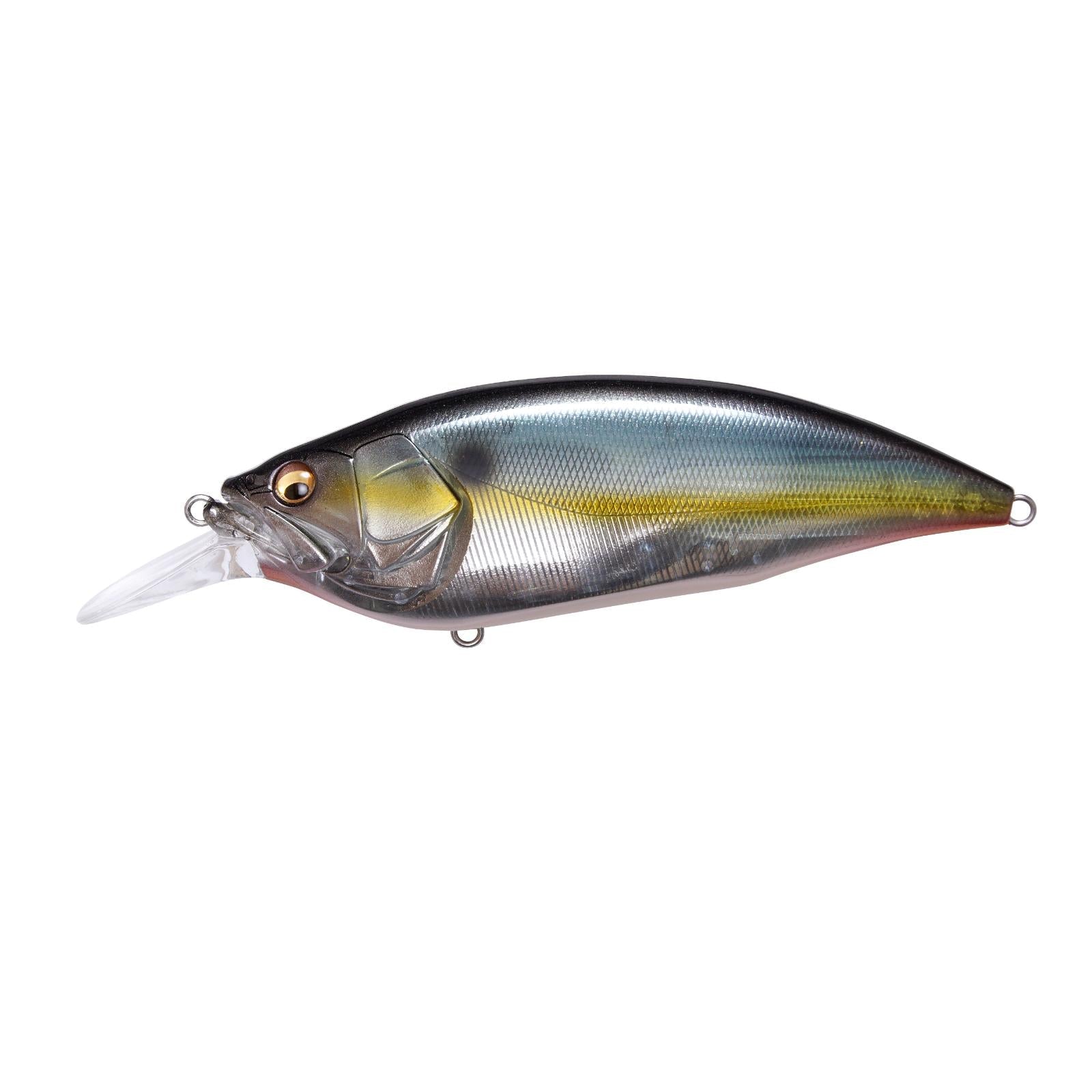View of Megabass Big-M 4.0 Crankbait Jukucho Shad available at EZOKO Fishing