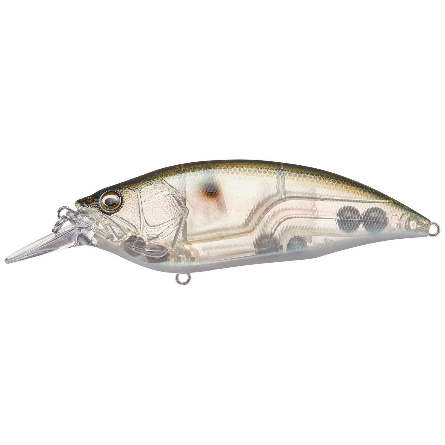 View of Megabass Big-M 4.0 Crankbait MB Gizzard available at EZOKO Fishing