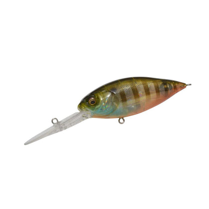 Biwako Clear Gill