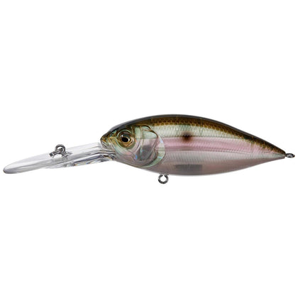Mb Gizzard
