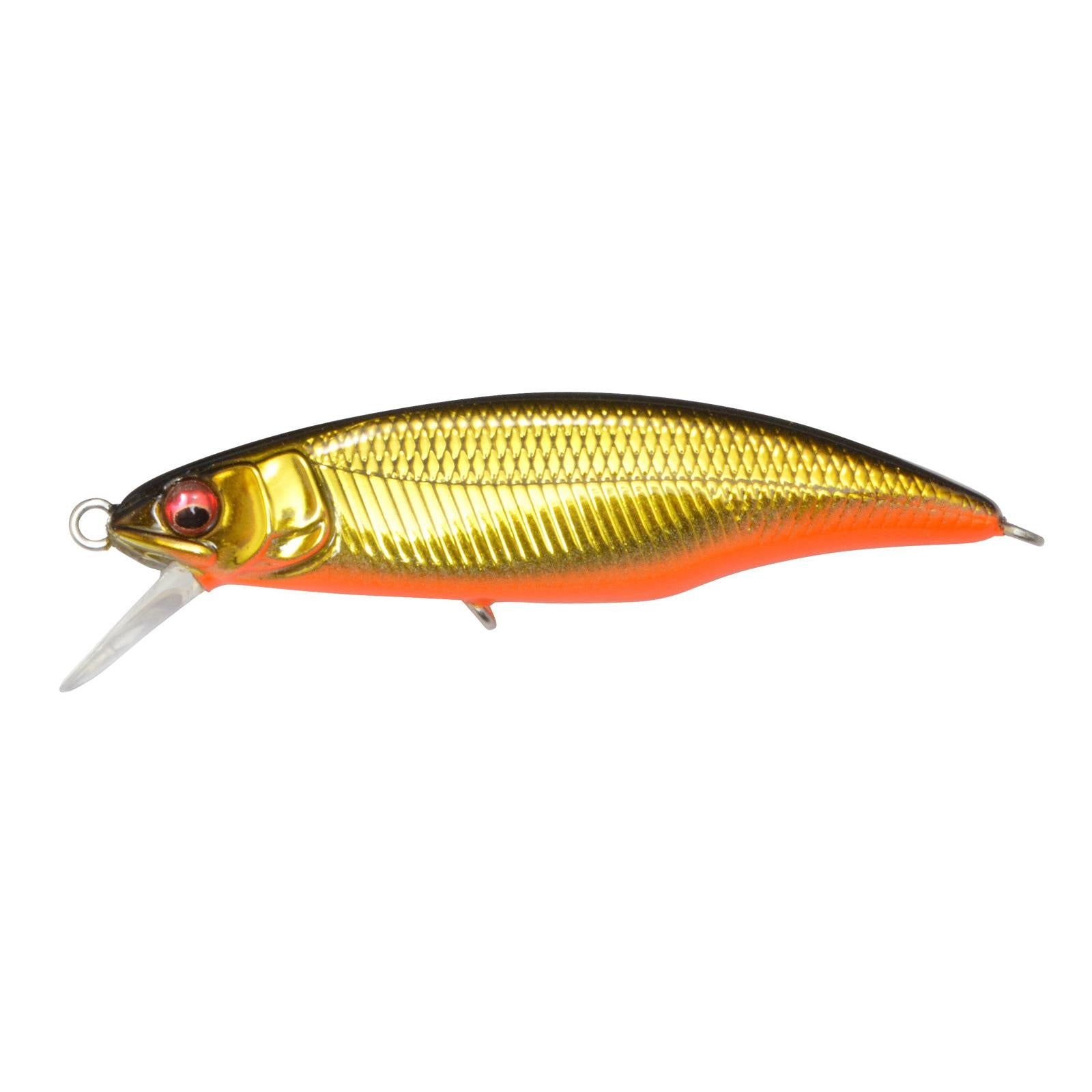 View of Crankbaits Megabass GH50 Flatside Crankbait M Kinkuro Fast Sinking available at EZOKO Fishing