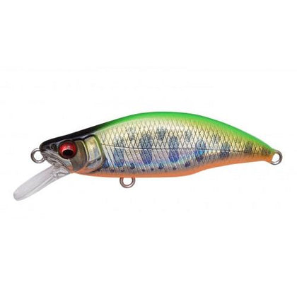Lz Lime Back Ob