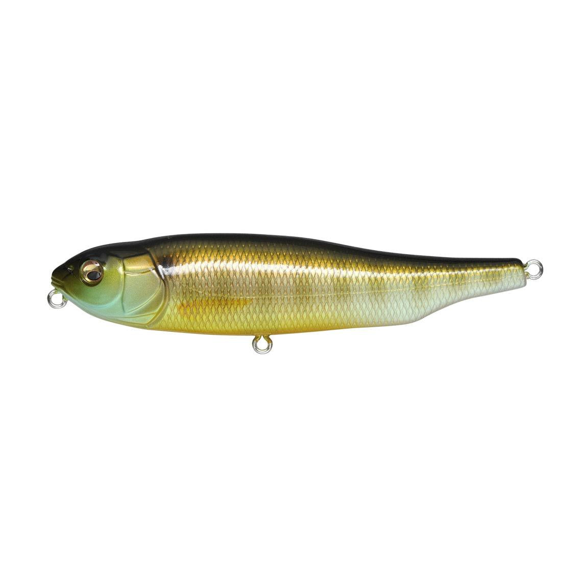 View of Topwater Megabass Giant Dog-X Walking Bait Gill available at EZOKO Fishing