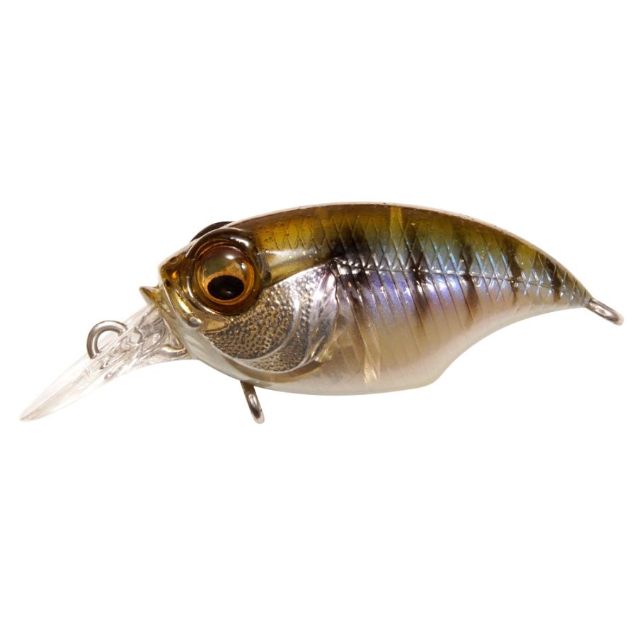 View of Crankbaits Megabass Griffon SR-X BFS Crankbait Gillkko available at EZOKO Fishing