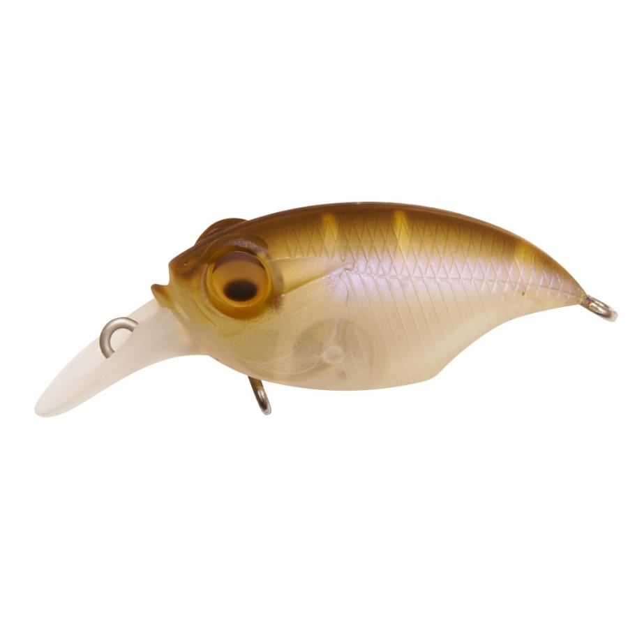 View of Crankbaits Megabass Griffon SR-X BFS Crankbait Mat Shad available at EZOKO Fishing