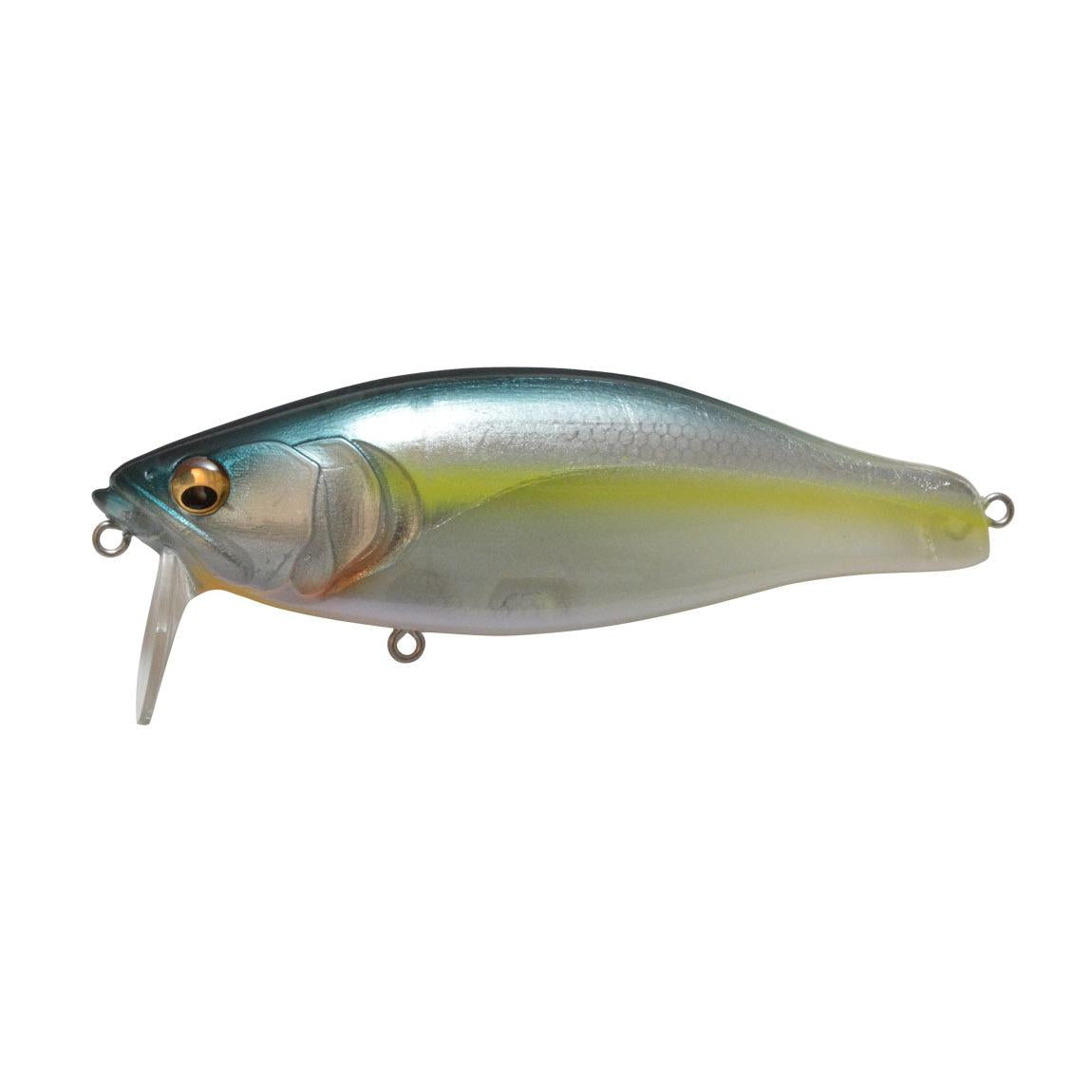 View of Wakebaits Megabass I-Jack Wakebaits HT Kossori Shad available at EZOKO Fishing