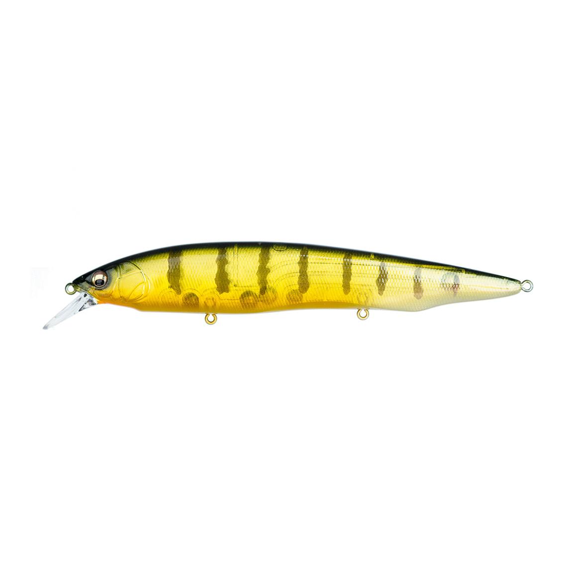 View of Jerkbait Megabass Kanata Jerkbait Gp Pro Perch available at EZOKO Fishing