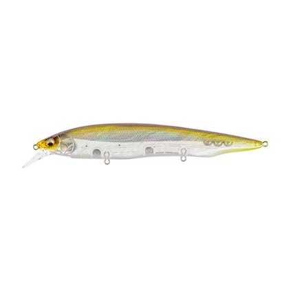 Ht Ito Tennessee Shad